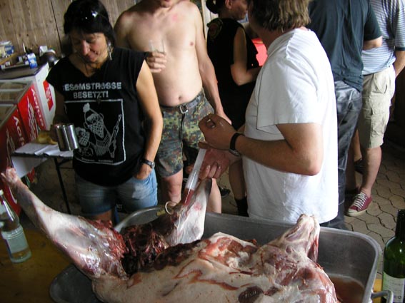 Bild 8