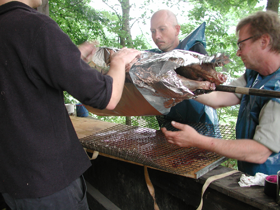 Bild 10