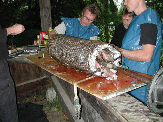 Bild 12