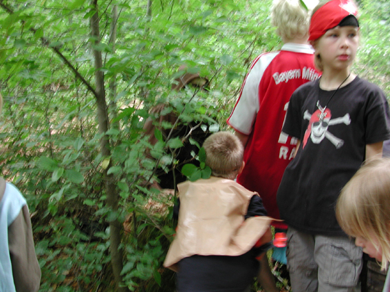 Bild 15