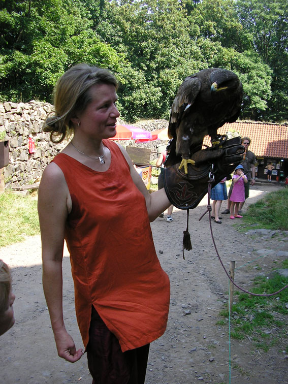 Bild 9